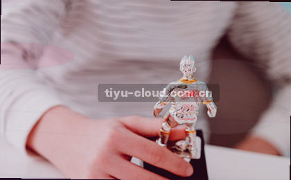 智能服务触点解析     
多维自助知识图谱     
实时工单追踪诊断
全周期运维保障